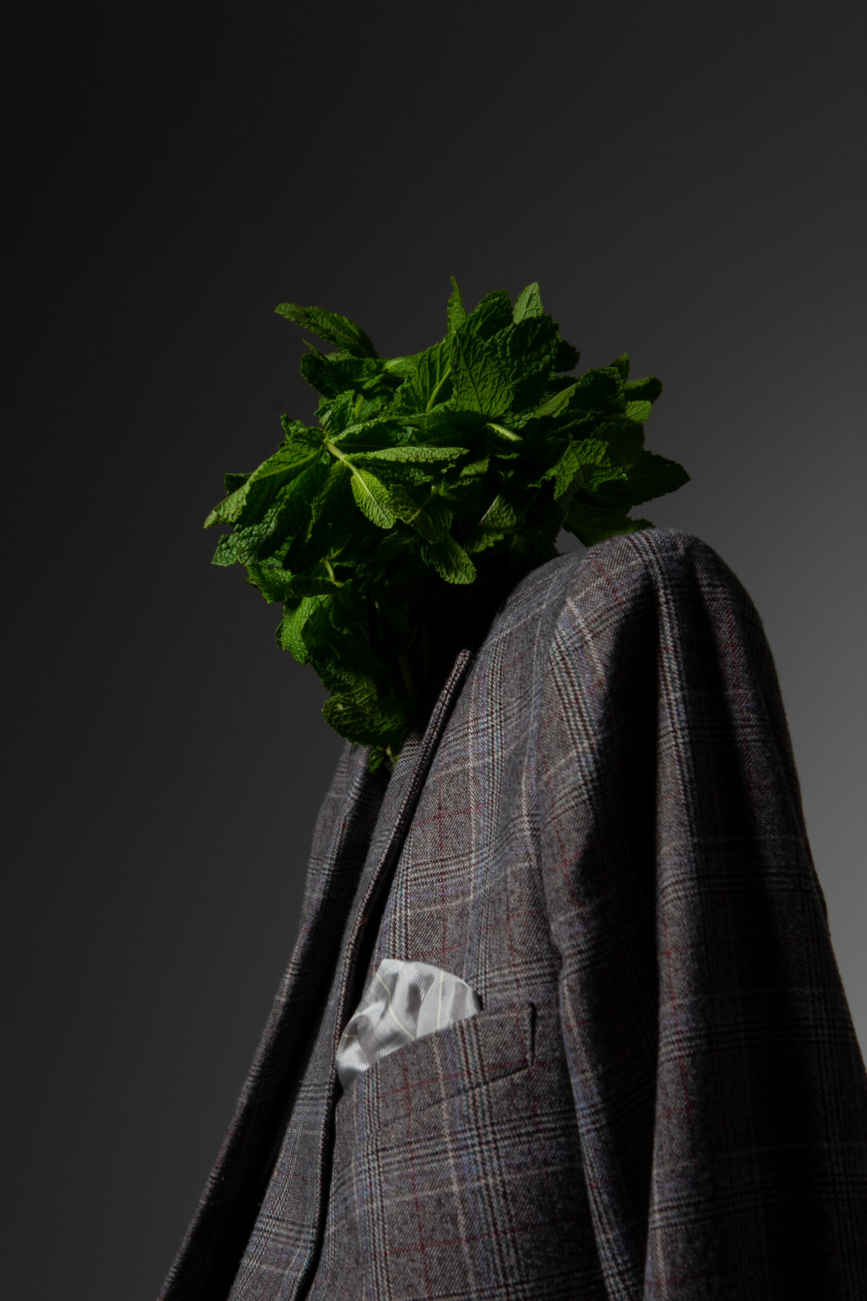 GN3G6976.jpg Blazer Structuré Élégance – Ceres Atelier - Image 3